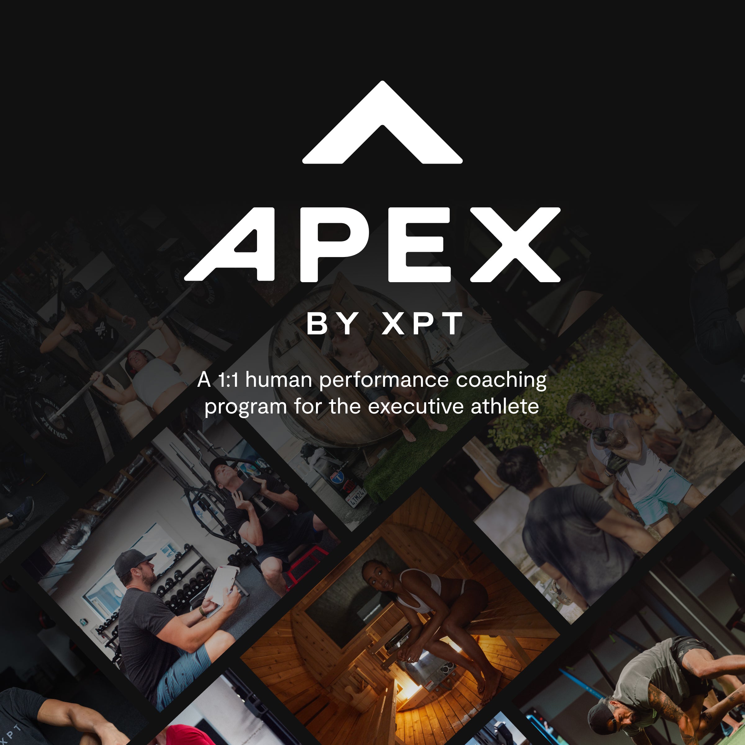 The Apex Program by XPT