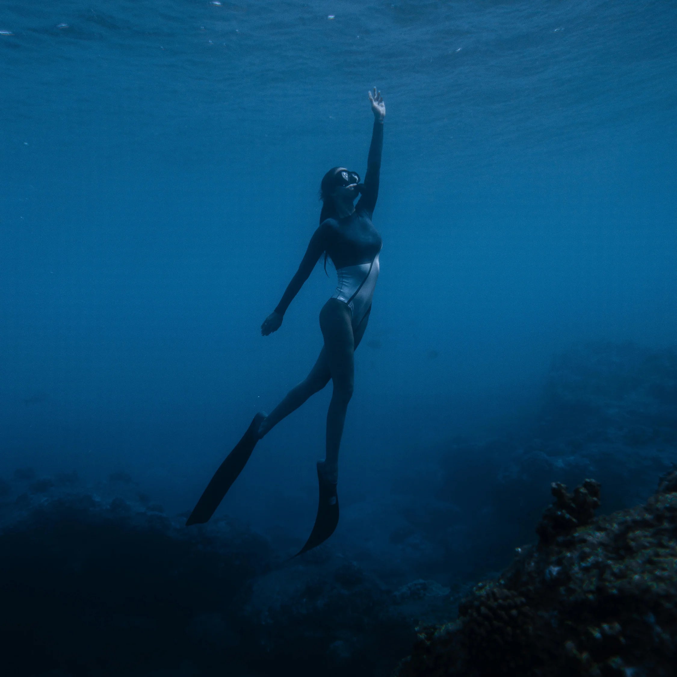 XPT Great Mayan Reef