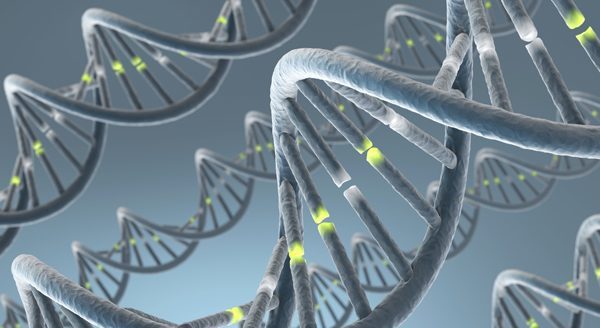 Epigenetics: How Your Lifestyle Literally Changes Your DNA